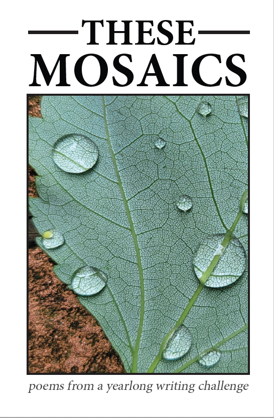 These Mosaics: poems from a yearlong writing challenge
