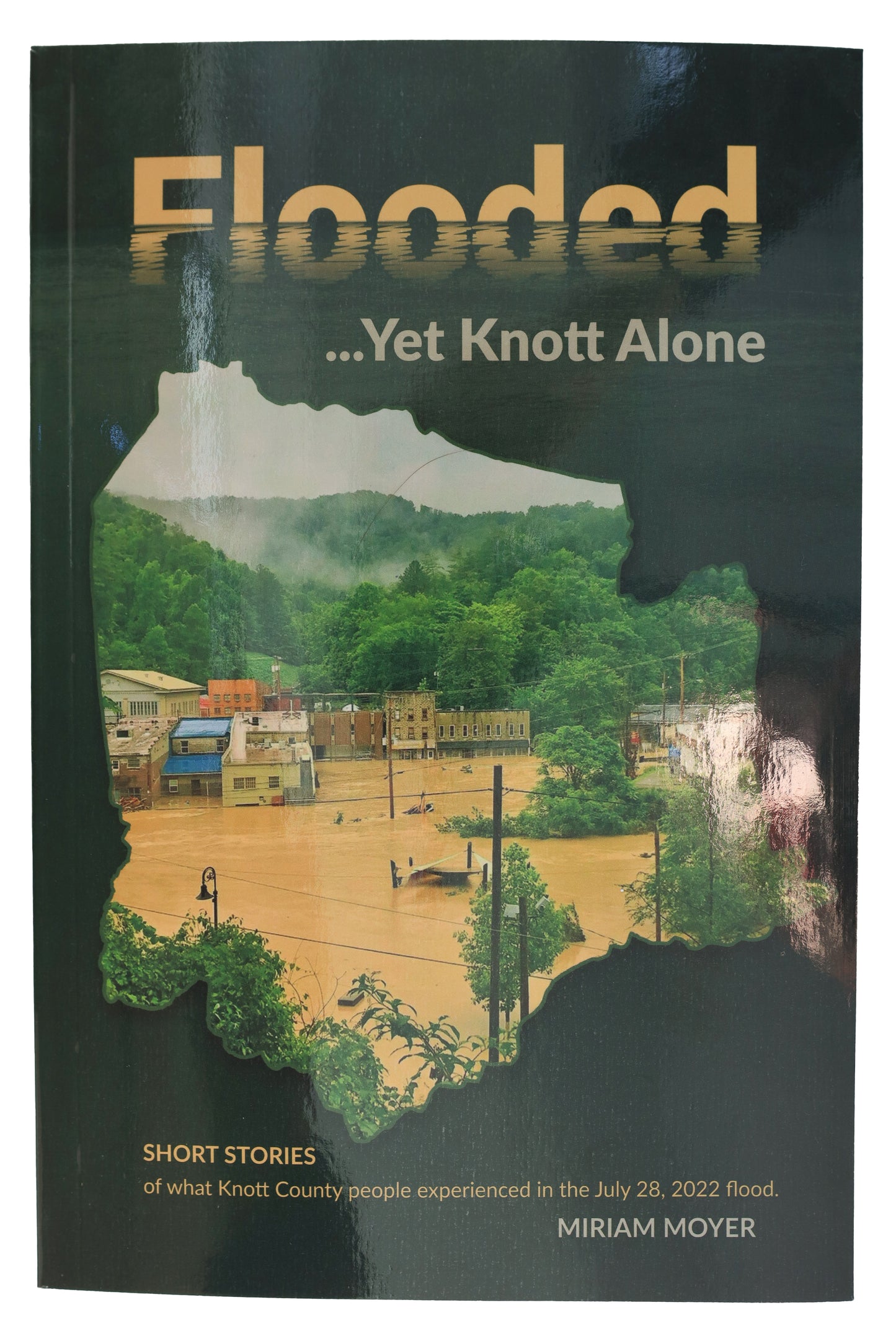 Flooded, Yet Knott Alone by Miriam Moyer
