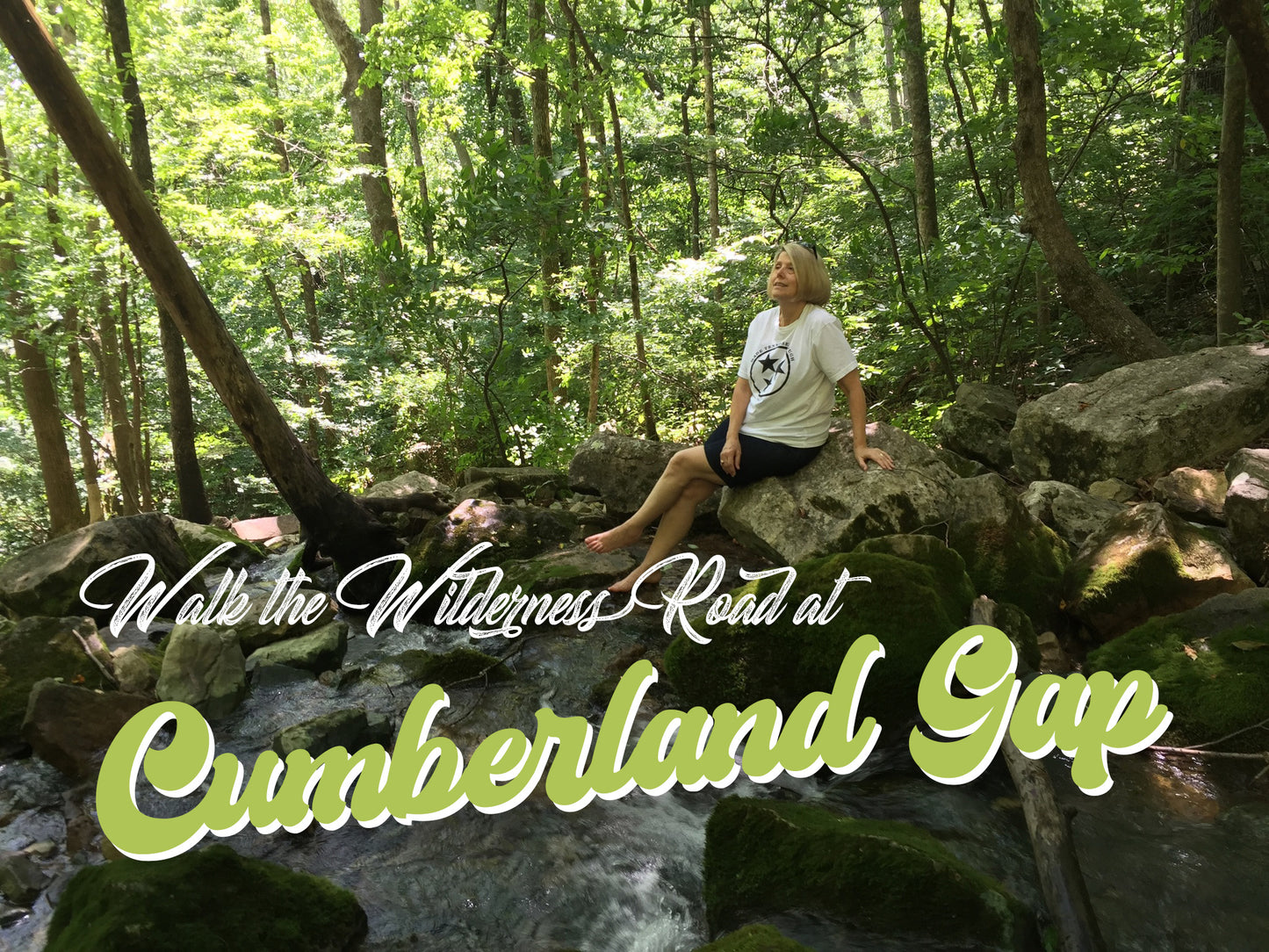 Wilderness Road Postcard