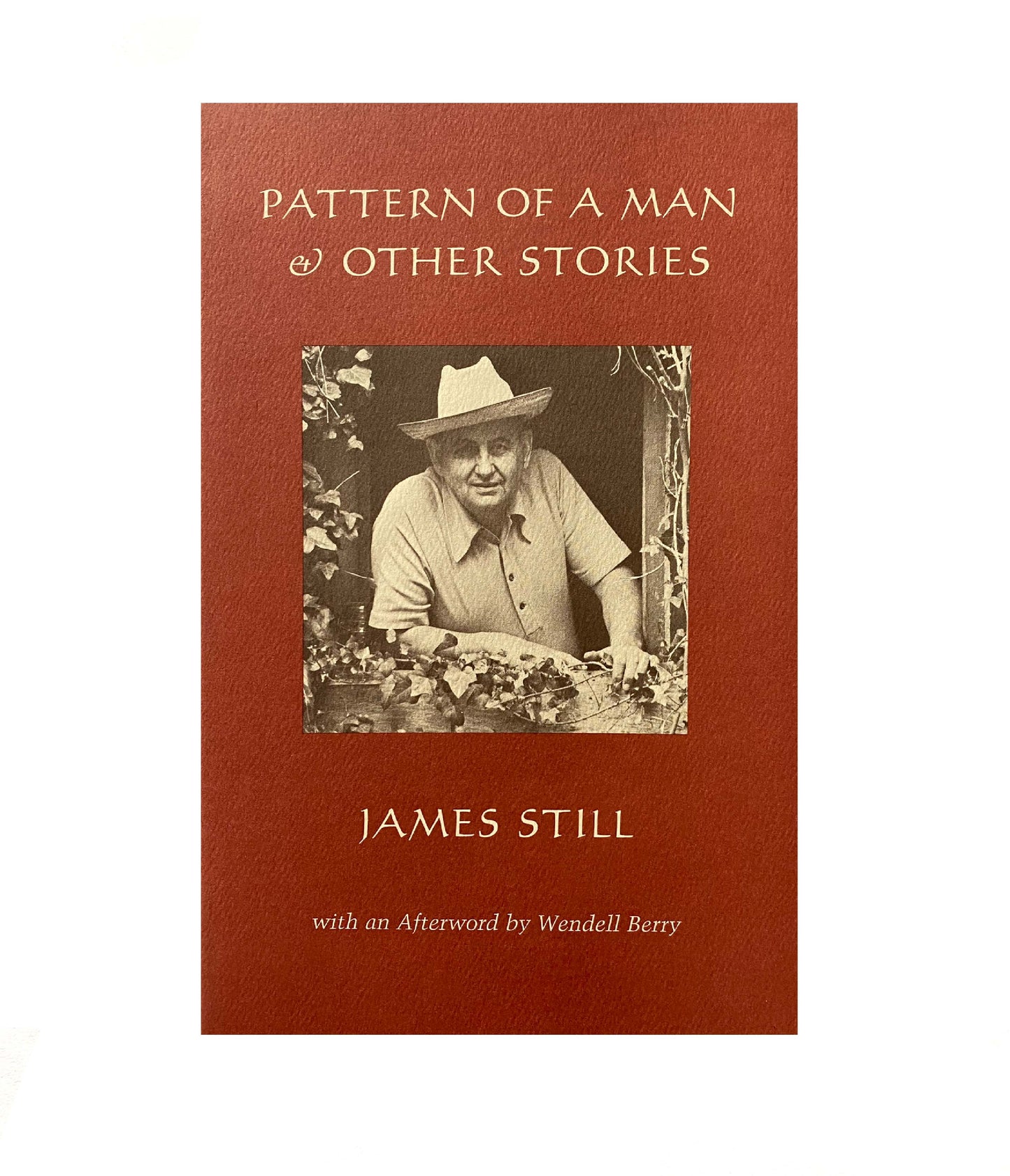Pattern of a Man & Other Stories