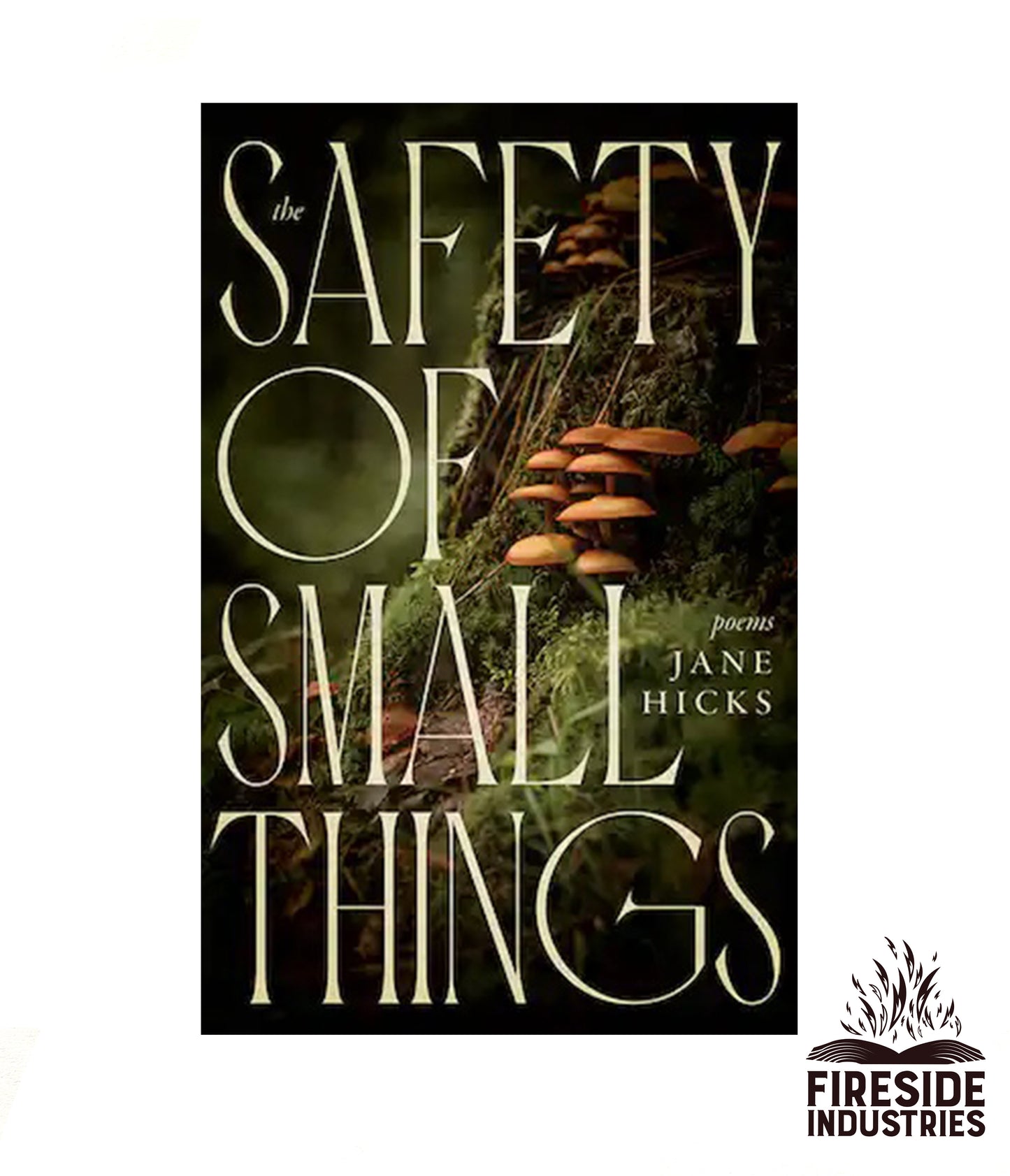 The Safety of Small Things by Jane Hicks
