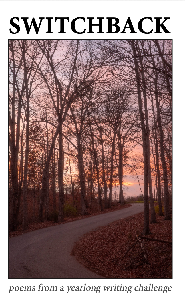 Switchback: poems from a yearlong writing challenge