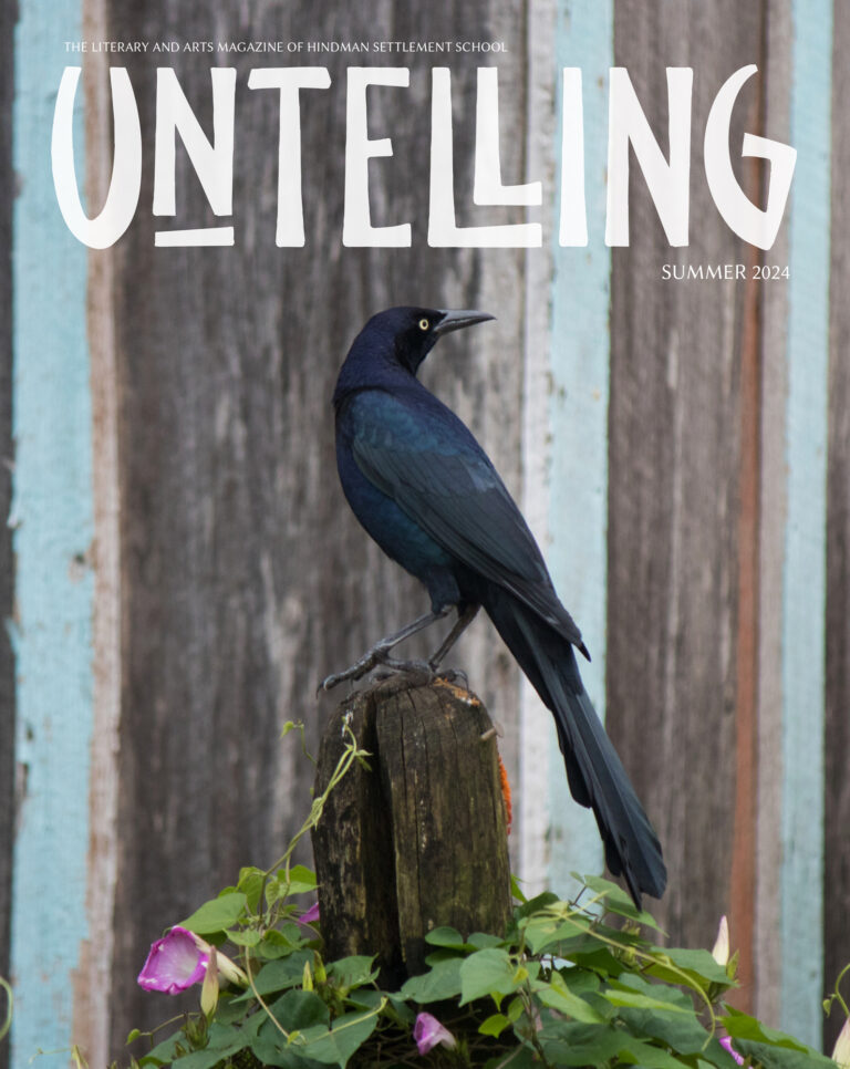 Untelling Magazine