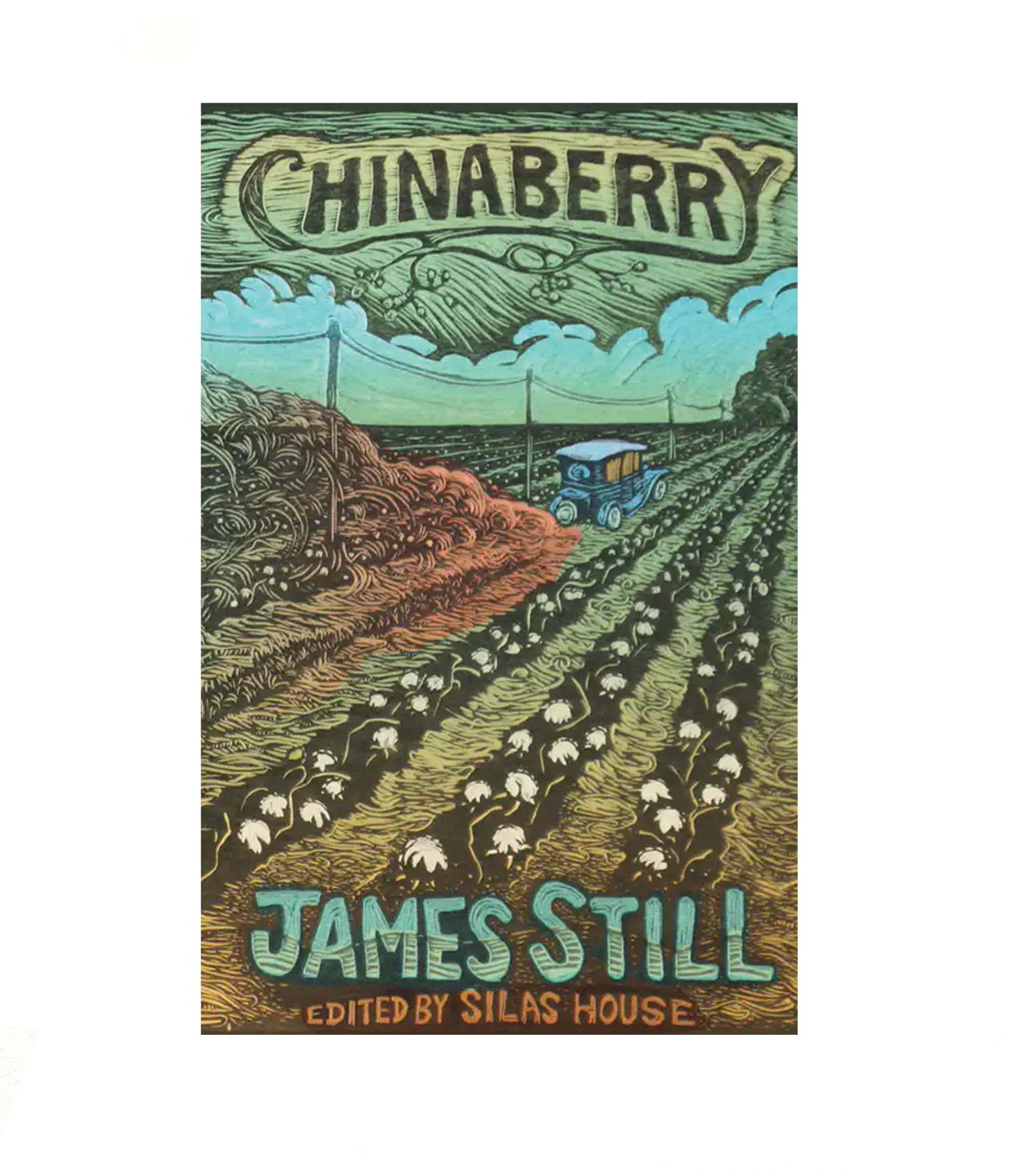 Chinaberry by James Still